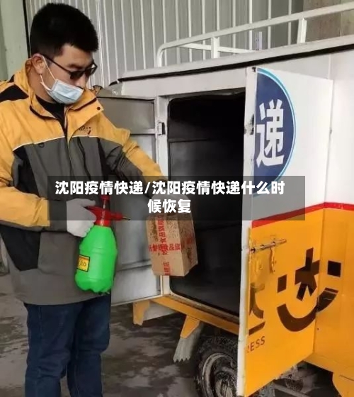 沈阳疫情快递/沈阳疫情快递什么时候恢复-第3张图片