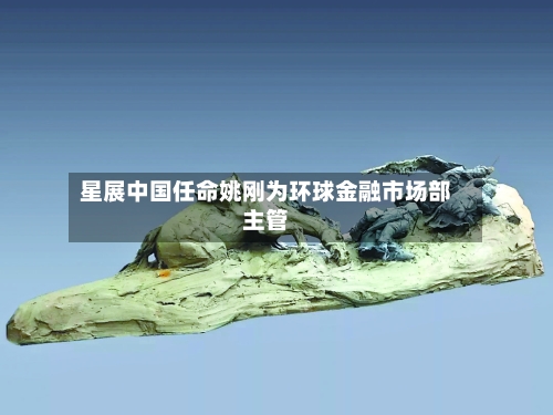 星展中国任命姚刚为环球金融市场部主管-第2张图片