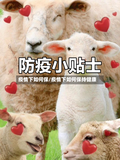 疫情下如何保/疫情下如何保持健康-第2张图片