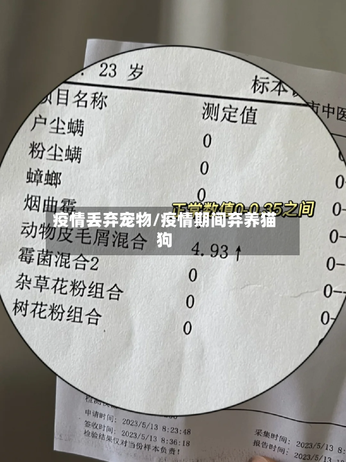 疫情丢弃宠物/疫情期间弃养猫狗-第2张图片