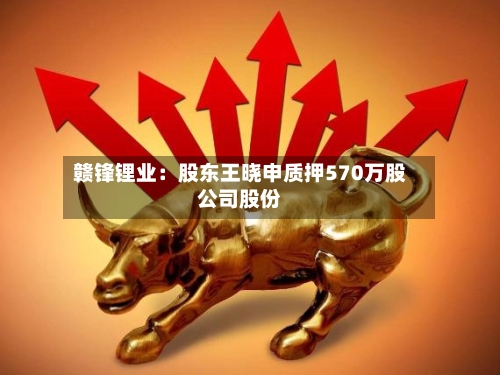 赣锋锂业：股东王晓申质押570万股公司股份