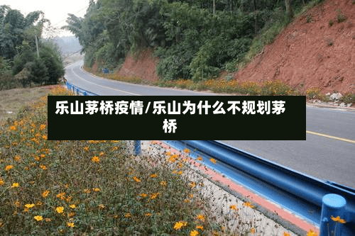 乐山茅桥疫情/乐山为什么不规划茅桥