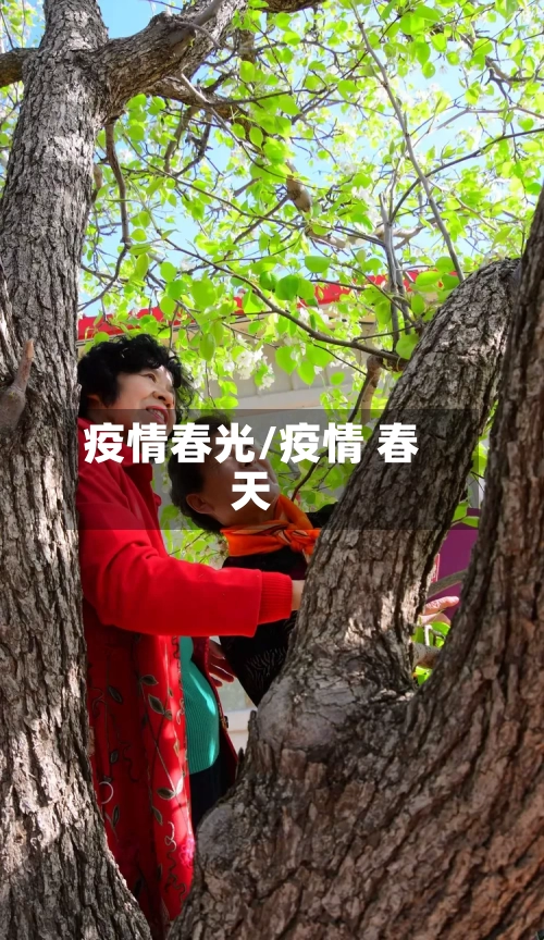 疫情春光/疫情 春天