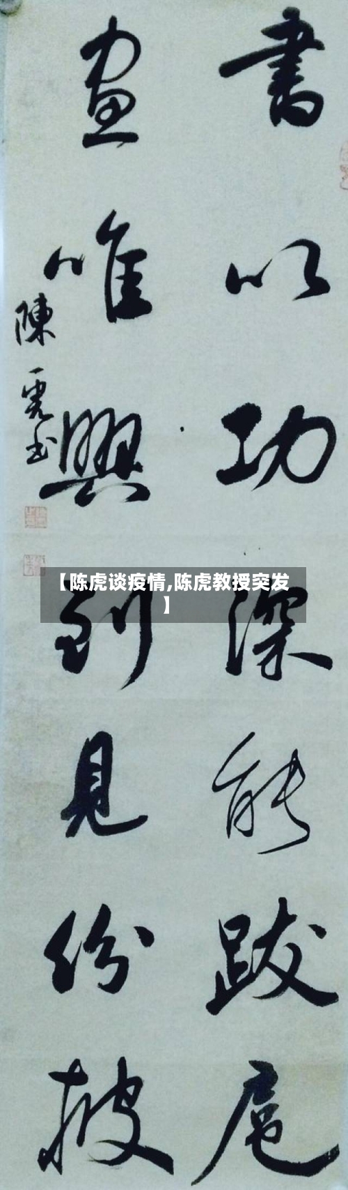 【陈虎谈疫情,陈虎教授突发】-第2张图片