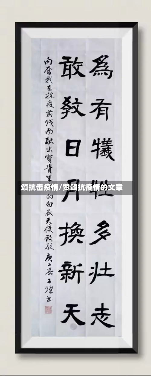 颂抗击疫情/赞颂抗疫情的文章