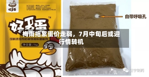 梅雨拖累蛋价走弱	，7月中旬后或迎行情转机-第2张图片