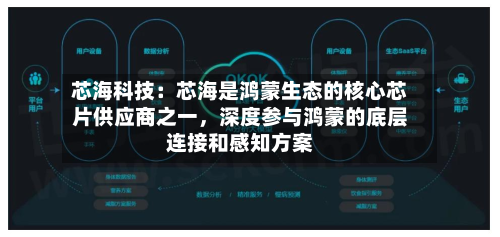 芯海科技：芯海是鸿蒙生态的核心芯片供应商之一，深度参与鸿蒙的底层连接和感知方案
