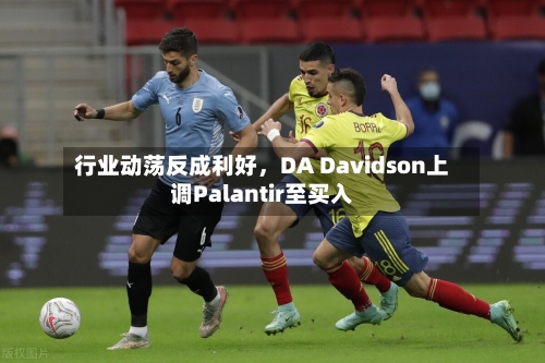 行业动荡反成利好，DA Davidson上调Palantir至买入