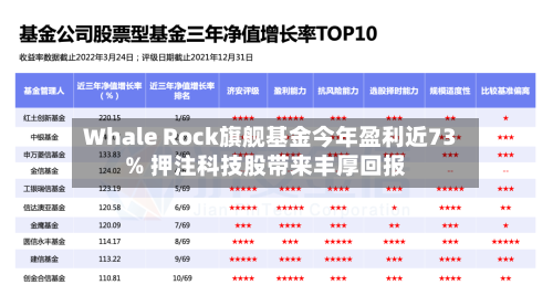 Whale Rock旗舰基金今年盈利近73% 押注科技股带来丰厚回报