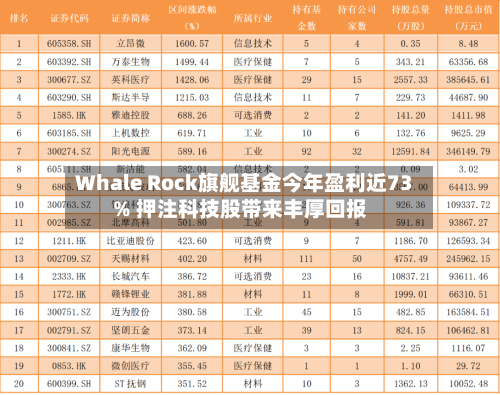 Whale Rock旗舰基金今年盈利近73% 押注科技股带来丰厚回报-第2张图片