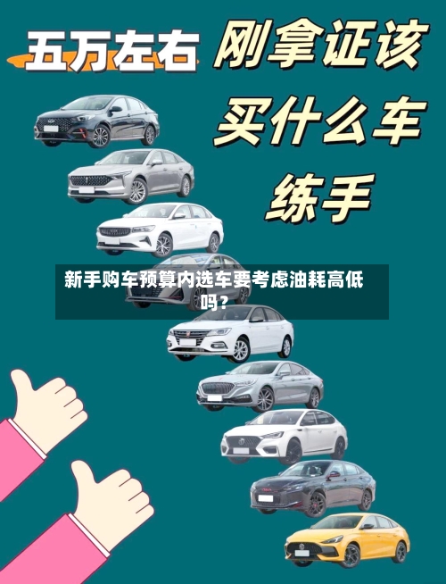 新手购车预算内选车要考虑油耗高低吗？-第2张图片