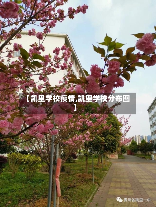 【凯里学校疫情,凯里学校分布图】