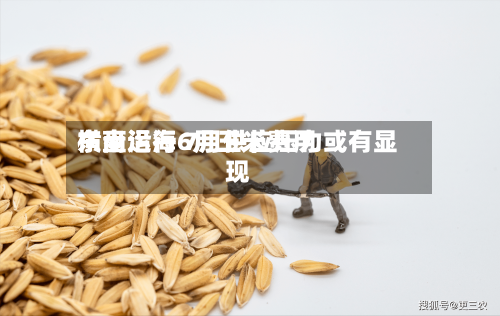 东南沿海6月玉米费用横盘运行 7月供应压力或有显现