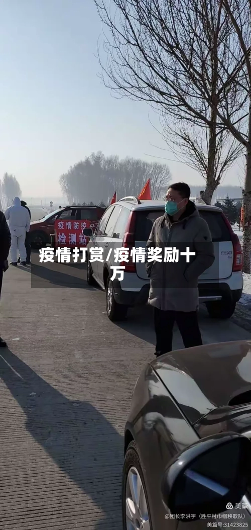 疫情打赏/疫情奖励十万-第2张图片