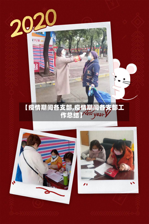 【疫情期间各支部,疫情期间各支部工作总结】