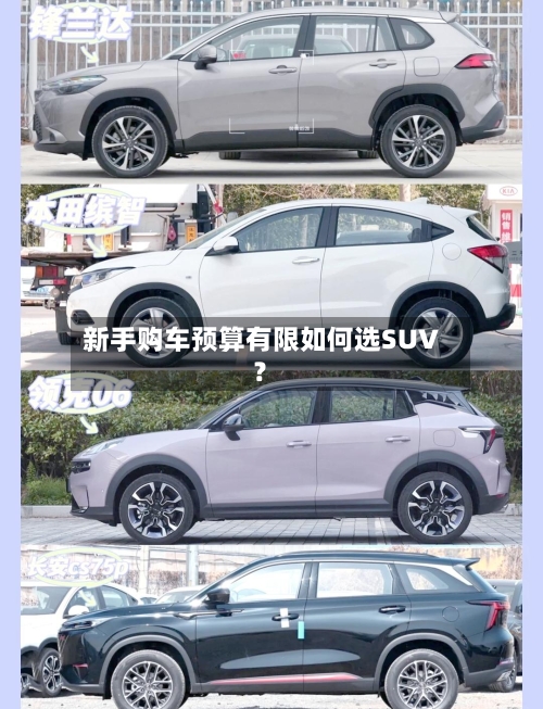 新手购车预算有限如何选SUV？