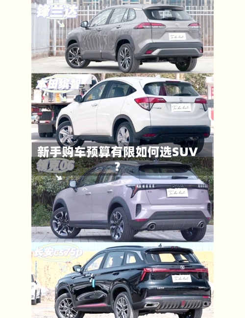 新手购车预算有限如何选SUV?-第3张图片