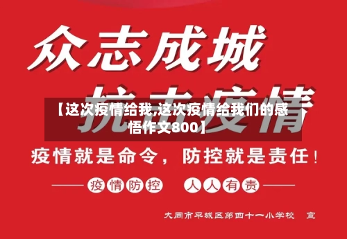 【这次疫情给我,这次疫情给我们的感悟作文800】
