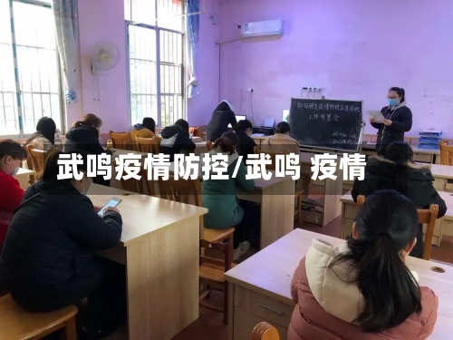 武鸣疫情防控/武鸣 疫情-第3张图片
