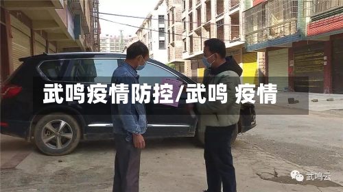 武鸣疫情防控/武鸣 疫情