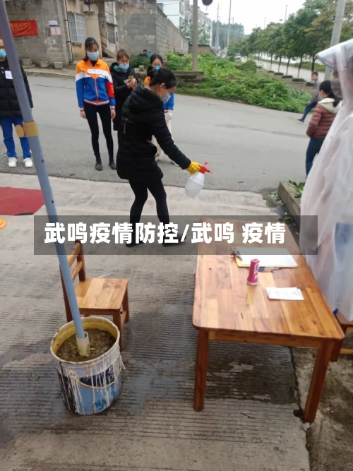 武鸣疫情防控/武鸣 疫情-第2张图片