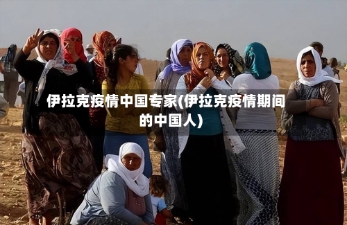 伊拉克疫情中国专家(伊拉克疫情期间的中国人)