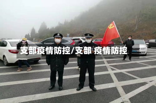 支部疫情防控/支部 疫情防控-第2张图片
