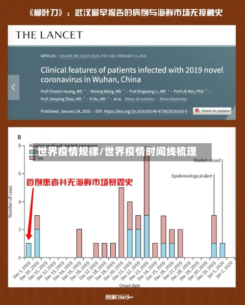世界疫情规律/世界疫情时间线梳理