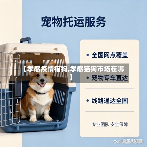 【孝感疫情猫狗,孝感猫狗市场在哪】