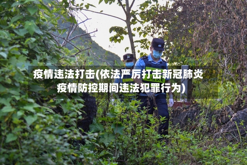 疫情违法打击(依法严厉打击新冠肺炎疫情防控期间违法犯罪行为)