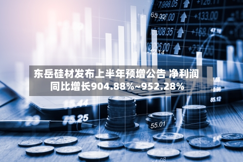 东岳硅材发布上半年预增公告 净利润同比增长904.88%~952.28%