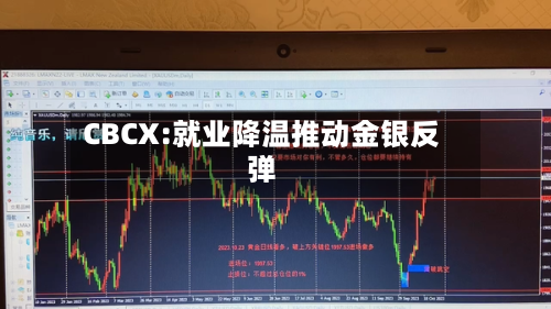 CBCX:就业降温推动金银反弹-第3张图片