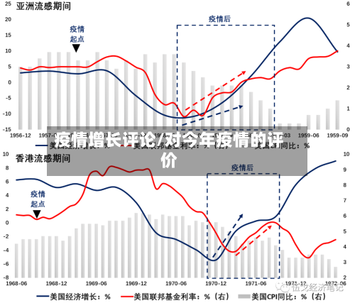 疫情增长评论/对今年疫情的评价