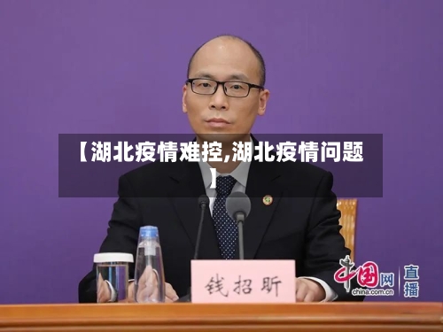 【湖北疫情难控,湖北疫情问题】