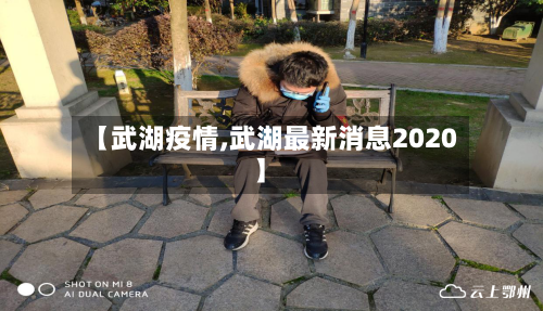 【武湖疫情,武湖最新消息2020】
