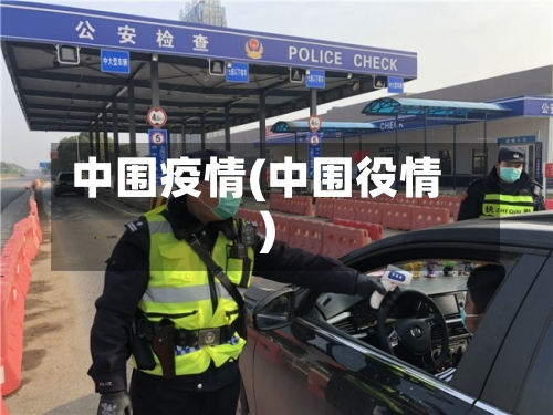 中围疫情(中围役情)-第2张图片