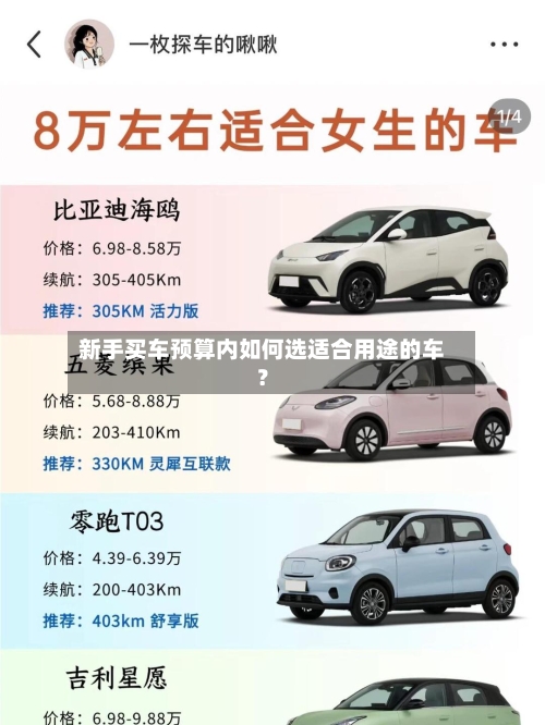 新手买车预算内如何选适合用途的车？-第3张图片