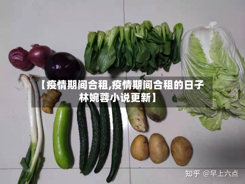 【疫情期间合租,疫情期间合租的日子林婉蓉小说更新】