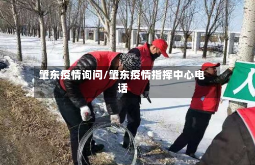肇东疫情询问/肇东疫情指挥中心电话