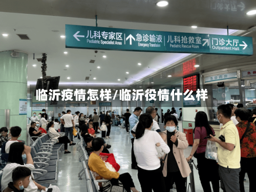 临沂疫情怎样/临沂役情什么样