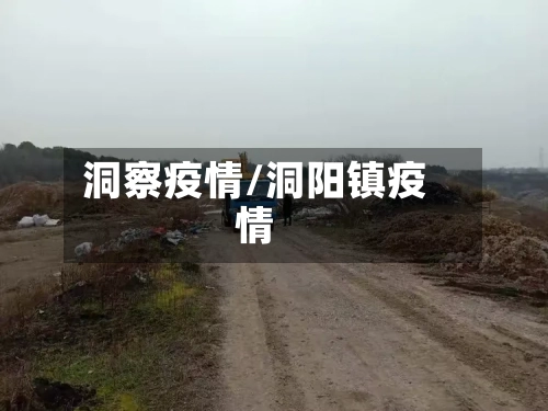洞察疫情/洞阳镇疫情-第2张图片