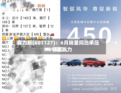 赛力斯(601127)：6月销量同比承压 M〖陆〗、M9快速发力-第3张图片