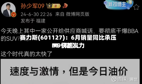 赛力斯(601127)：6月销量同比承压 M〖陆〗、M9快速发力-第2张图片