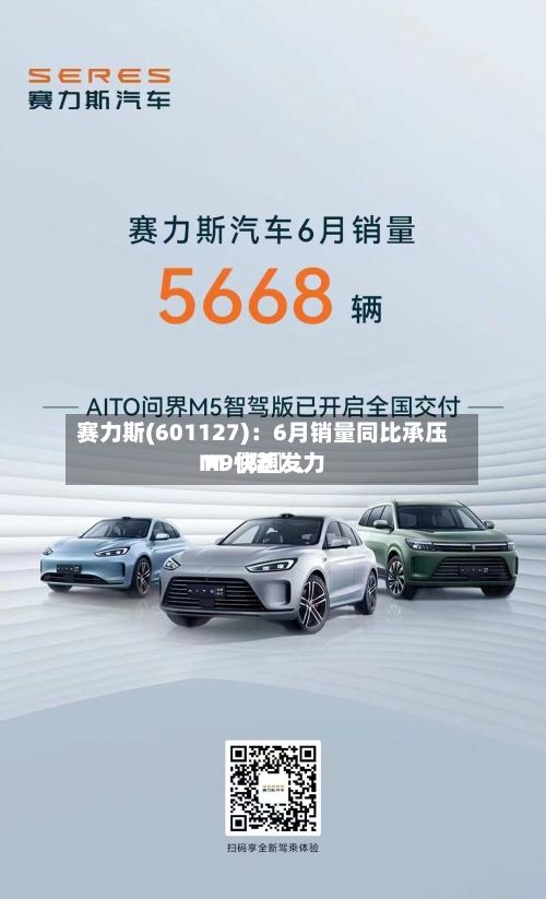赛力斯(601127)：6月销量同比承压 M〖陆〗、M9快速发力-第3张图片