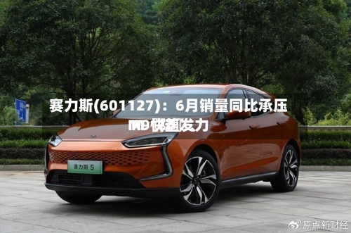 赛力斯(601127)：6月销量同比承压 M〖陆〗、M9快速发力-第3张图片