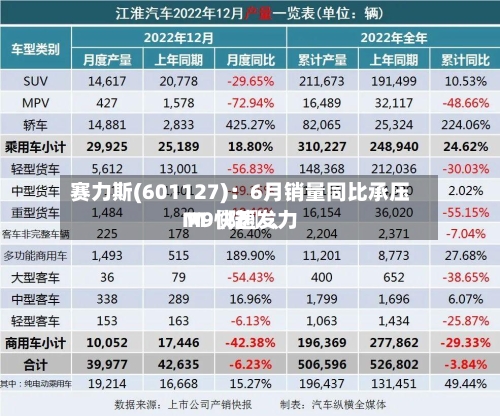 赛力斯(601127)：6月销量同比承压 M〖陆〗、M9快速发力
