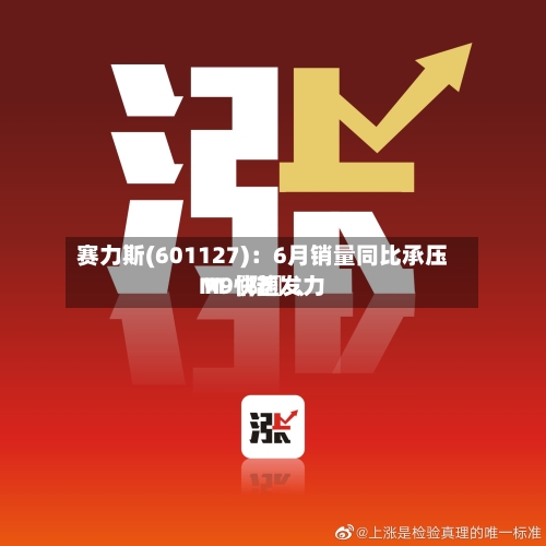 赛力斯(601127)：6月销量同比承压 M〖陆〗、M9快速发力-第2张图片