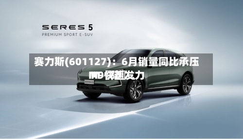 赛力斯(601127)：6月销量同比承压 M〖陆〗、M9快速发力-第2张图片