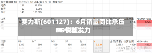 赛力斯(601127)：6月销量同比承压 M〖陆〗、M9快速发力-第2张图片