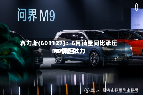 赛力斯(601127)：6月销量同比承压 M〖陆〗、M9快速发力